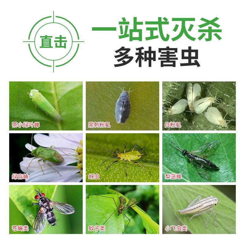 强力粘虫板20片 诱虫板双面黄板农业果园用户外蓝板覆纸黏,鲜花速递/花卉仿真/绿植园艺,其它园艺用品,淘宝优惠券,粉丝福利购,淘宝优惠卷