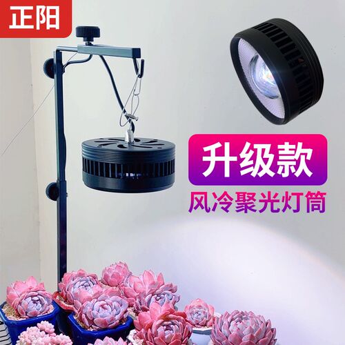 正阳聚光多肉补光灯上色快防徒全光谱卉绿植室内