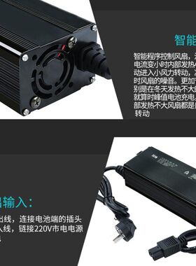 串伏三元电动车瓶锂离电池充电器输出电压安