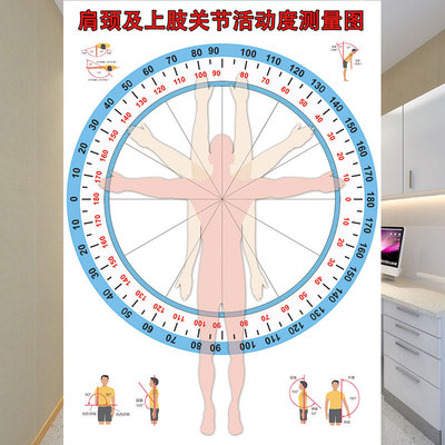 肩颈上肢关节活动度检测图墙纸医院诊所关节活动度测量评估表壁画