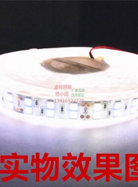 24V5050超高亮双排白光LED灯带24V5050双排灌胶白光LED灯条水里用