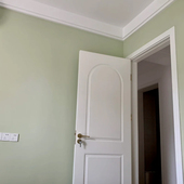 刷墙奶酪薄荷房间乳胶漆颜色奶酪绿薄荷绿奶油绿色装 修涂料墙面漆