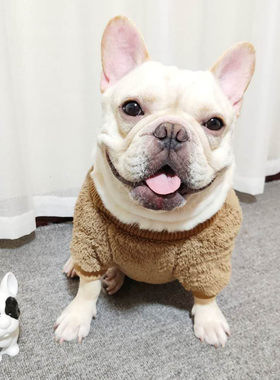 法斗衣服秋冬款斗牛犬巴哥比熊泰迪狗狗加绒卫衣宠物胖狗加厚保暖
