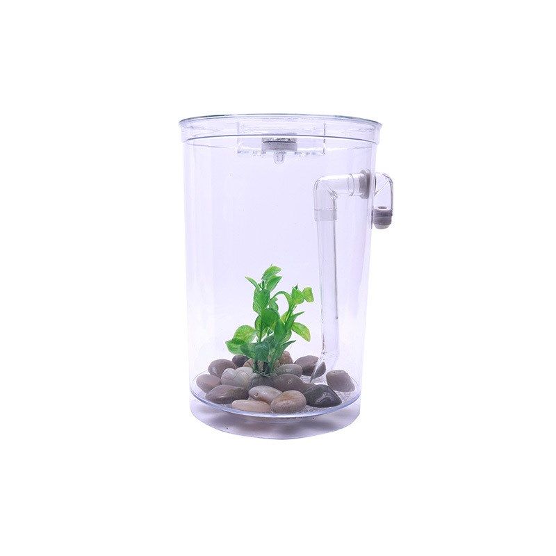 懒人免换水小鱼缸创意办公桌面造景亚克力带LED灯斗鱼缸