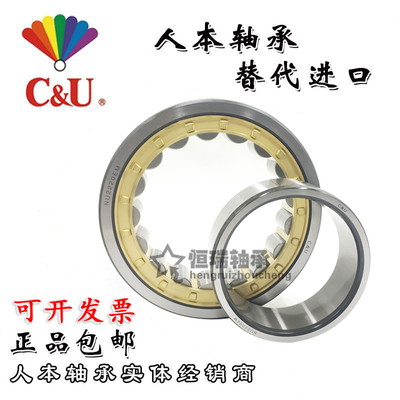 人本圆柱滚子轴承 N  NJ NU NUP 208 209 210 211 212 213 EM/C3