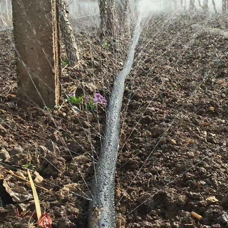 农用水管6分滴灌带配件1寸喷灌带滴管带雾化带微喷带喷水带,雾喷,鲜花速递/花卉仿真/绿植园艺,自动灌溉设备,淘宝优惠券,粉丝福利购,淘宝优惠卷