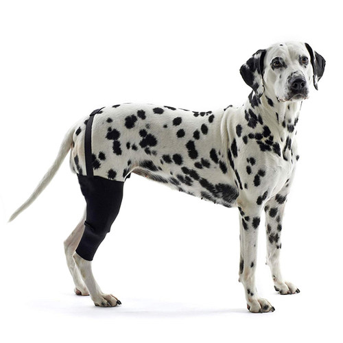 宠物护具受伤犬后腿保护狗狗户外用品后腿无力金毛护腿辅助