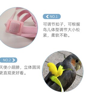 文鸟珍珠鸟放飞绳外出背带牵引遛鸟绳