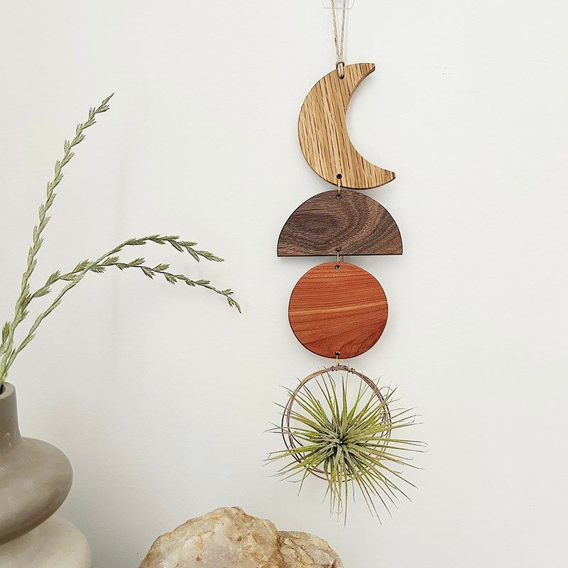 创意空气凤梨壁饰实木墙面装饰手工绿植垂吊盆栽节日礼品,鲜花速递/花卉仿真/绿植园艺,苔藓微景观,淘宝优惠券,粉丝福利购,淘宝优惠卷