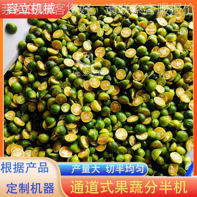 厂自家供应枳通实半切机 道式海葵劈WYU半机 全动果蔬分瓣机