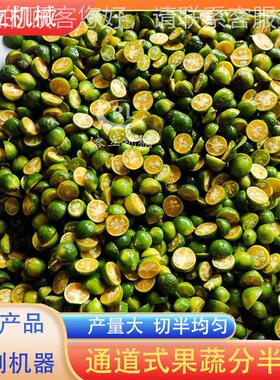 厂自家供应枳通实半切机 道式海葵劈WYU半机 全动果蔬分瓣机