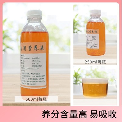 熊童子熊掌营养液家室内厅阳台盆栽老桩多肉植物浓缩开花肥料