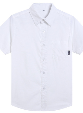 中小学生夏季短袖衬衫校服纯白色立领花边男女童校服短袖校服