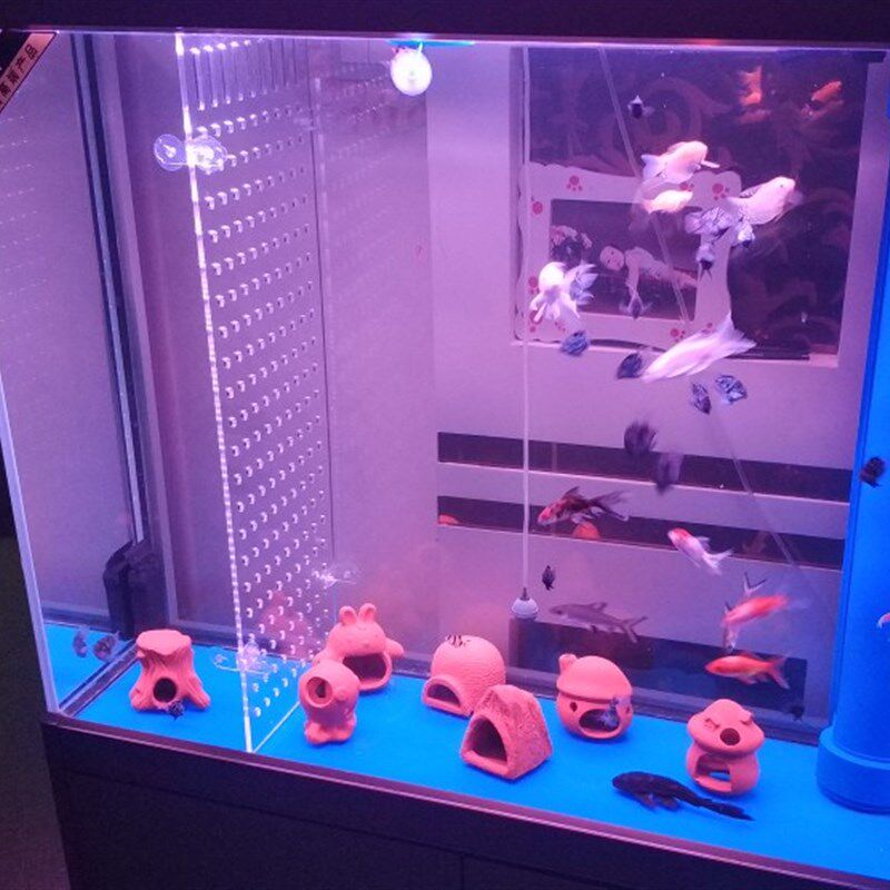 鱼缸隔离板隔板亚克力分隔挡板水族箱罗汉孔雀斗鱼苗分离器隔离网