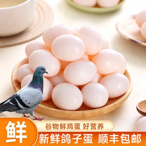 林味宝新鲜鸽子蛋30枚20枚10枚杂粮喂养新鲜正宗营养蛋