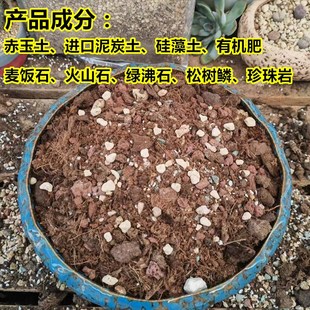 龙舌兰专用土配方颗粒土营养土盆栽种植土沙漠玫瑰多肉块根植物土