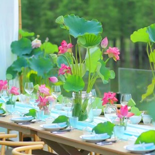 假荷叶防真荷花鱼缸装饰花餐厅中式花艺摆放拍摄道具宴会酒会摆件