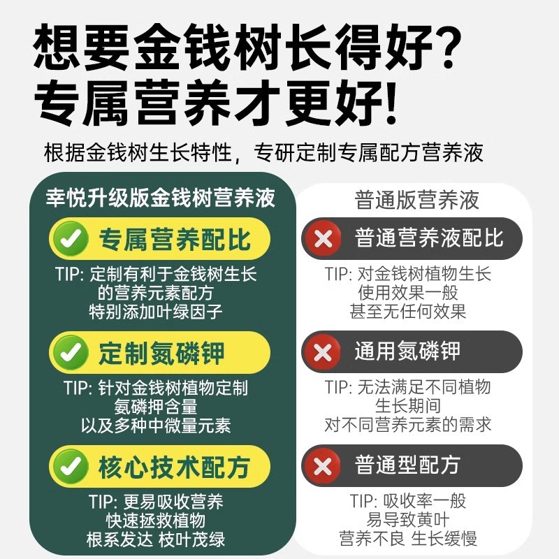 金钱树专用营养液叶子发黄免稀释叶面肥盆栽植物金钱树肥料专用肥