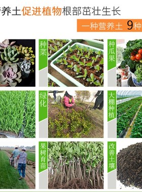 龙鳞春羽专用土小天使盆栽肥料桩观叶植物专用土壤春羽专用营养土