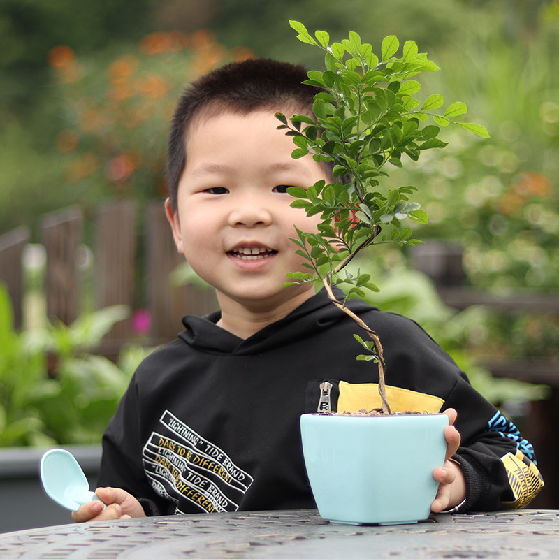 自吸水小花盆多肉植物盆创意个性迷你拇指盆塑料幼儿园儿童节礼物,鲜花速递/花卉仿真/绿植园艺,花盆,淘宝优惠券,粉丝福利购,淘宝优惠卷