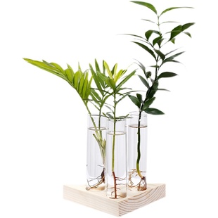 桌面创意小口花瓶摆件水培植物鲜花器皿电脑桌水养绿植玻璃容器