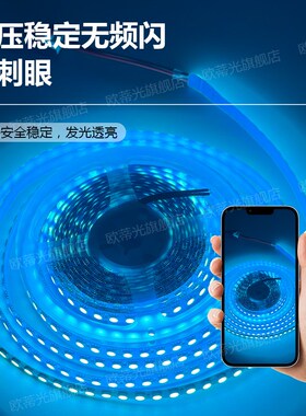 超亮冰蓝色灯带12V冰蓝光灯带24伏冰蓝氛围灯5050湖蓝浅蓝色灯带