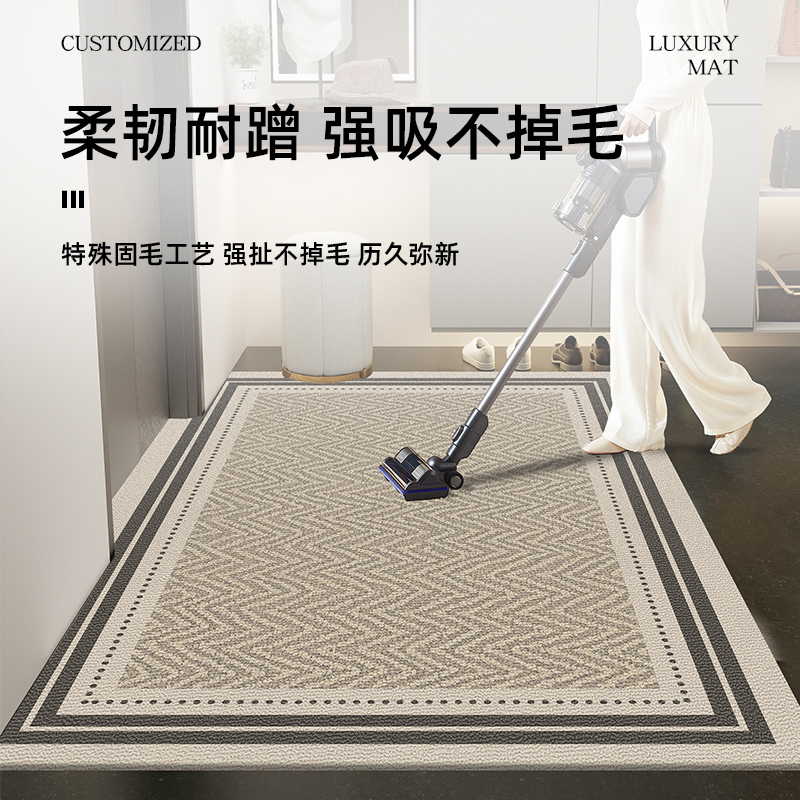 高级感轻奢入户门地垫耐脏家用玄关防滑脚垫满铺进门门口垫可定制