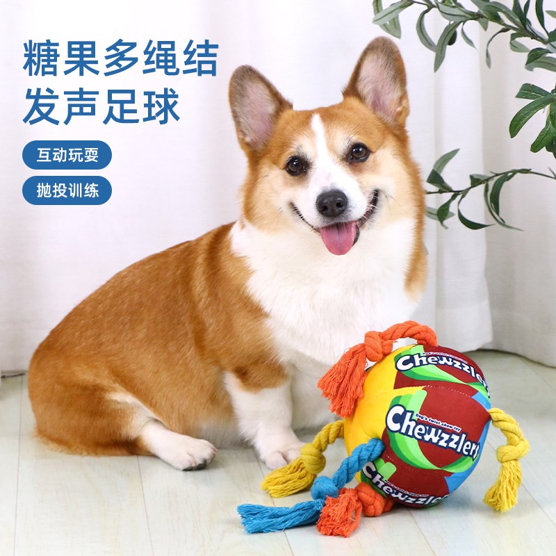 宠物狗狗玩具球磨牙发声耐咬消耗体力互动解闷神器柯基绳结狗玩具
