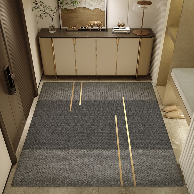 轻奢入户门地垫高级感客厅门口垫子耐脏进门脚垫家用玄关地毯定制