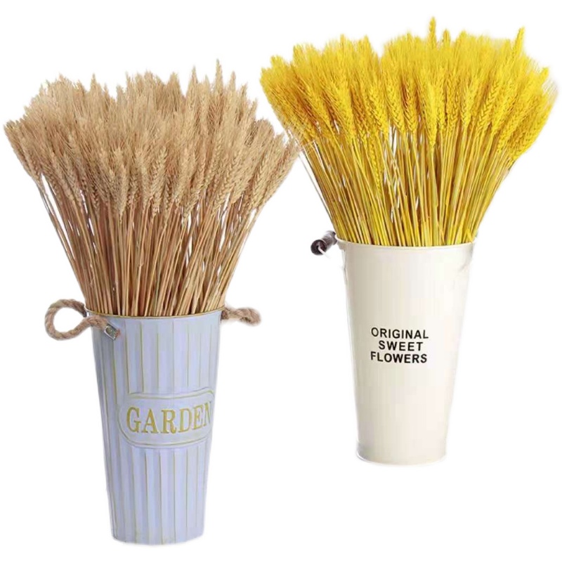 天然麦穗干花花束开业大麦田园装饰礼品拍摄道具稻穗干花真花包邮