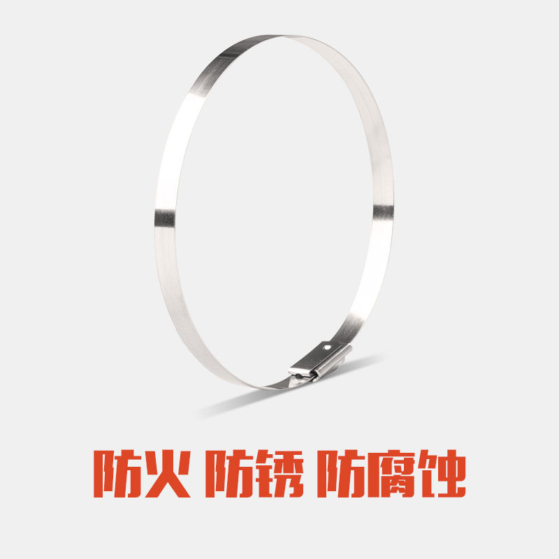 304不锈钢扎带4.6*200金属扎带电力标配桥架自锁钢扎带100根/包