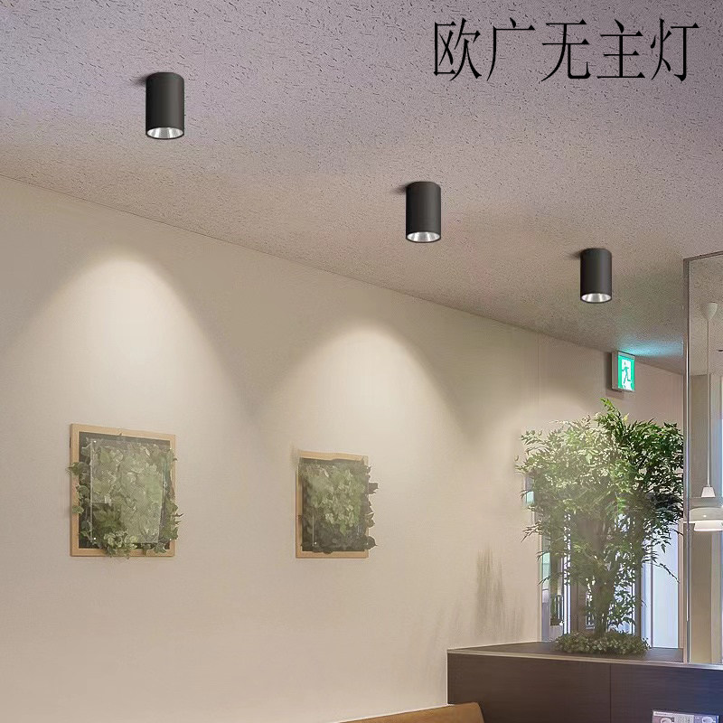 明装筒灯圆形吸顶式过道灯店铺商用健身房4s店工程吊装筒明装射灯,家装灯饰光源,明装射灯,淘宝优惠券,粉丝福利购,淘宝优惠卷