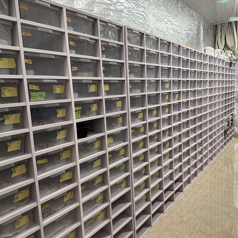 PVC爬柜豹纹守宫蜥蜴爬宠饲养箱6A4抽屉盒睫角蛇柜宠物智能恒温箱,宠物/宠物食品及用品,爬宠缸/箱,淘宝优惠券,粉丝福利购,淘宝优惠卷