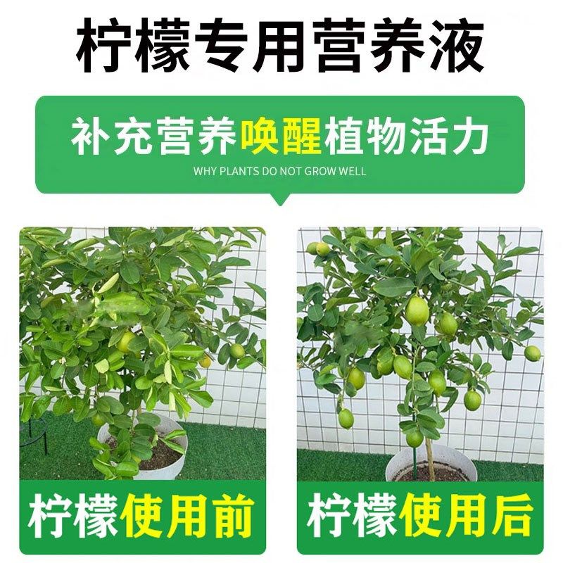 柠檬树肥料专用肥营养液青柠檬盆栽专用土壤改善黄叶脱叶果树树苗,鲜花速递/花卉仿真/绿植园艺,家庭园艺肥料,淘宝优惠券,粉丝福利购,淘宝优惠卷