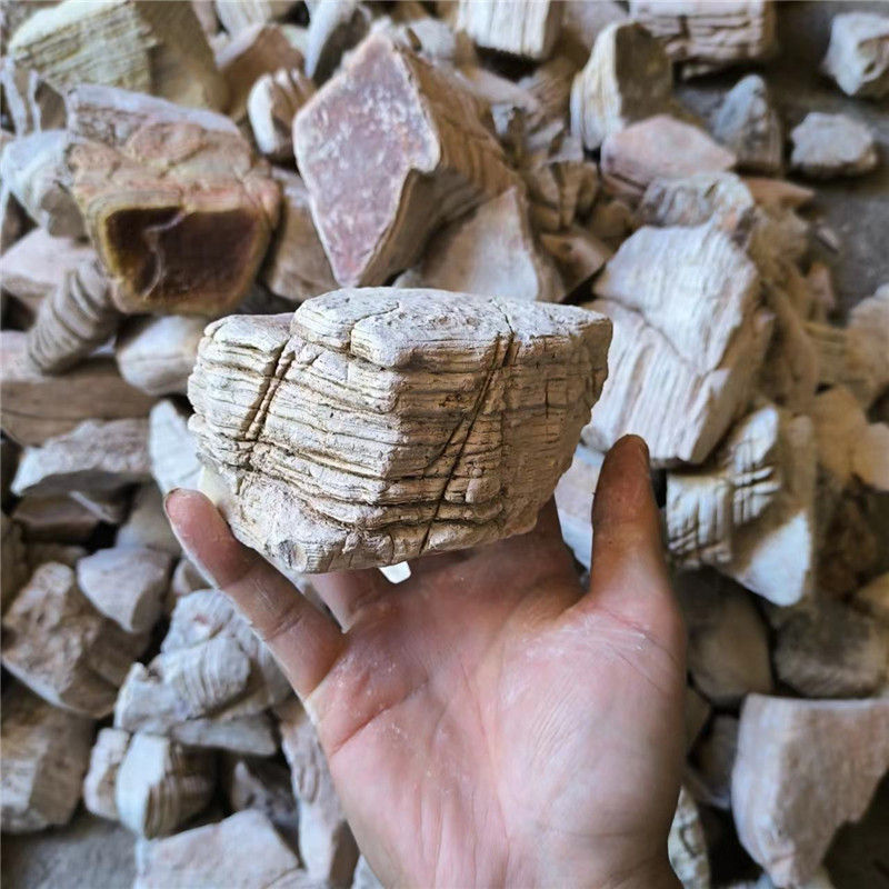 千层石鱼缸造景石细纹石微观景假山白岩盆景原生多肉爬宠植物装饰