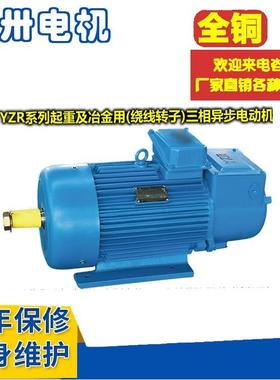 供应YZR250M2-6YZP250M2-645W起重及冶金用绕线转子电机