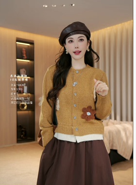 【秋天来信】秋款新款上新遮肉显瘦针织圆领毛衣开衫上衣36875