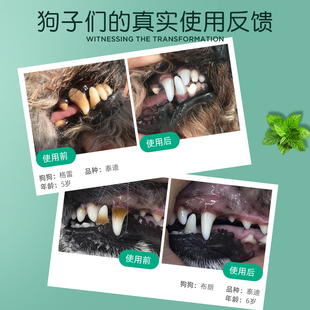 多美洁宠物漱口水猫咪狗狗洁齿水除口臭去牙结石口腔清洁猫洁牙狗