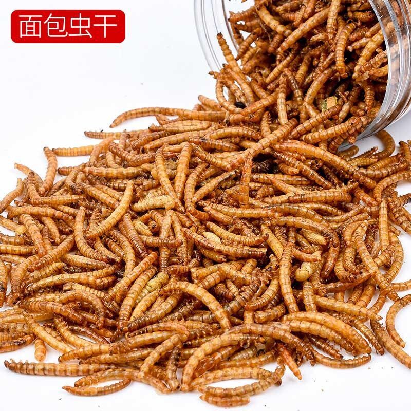 仓鼠粮食面包虫干黄粉虫干500g包邮金丝熊零食刺猬饲料龟鸟鹩哥