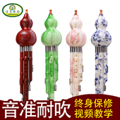 葫芦丝乐器初学c调降b调儿童入门初学者学生成人胡芦丝