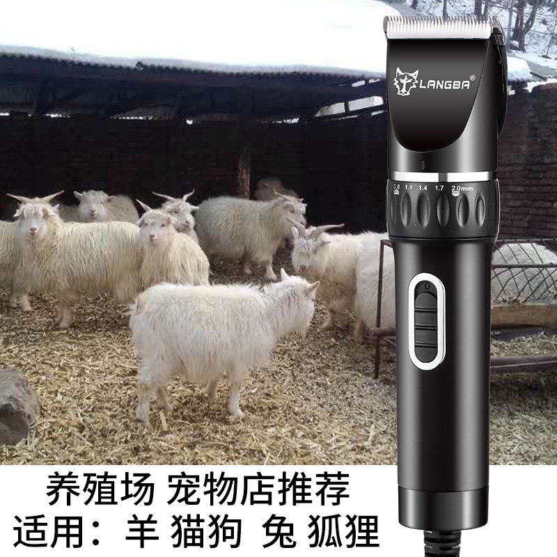 专业带线宠物电推剪大功率剃绒山羊毛推子狗狗大型犬长毛兔剃毛器