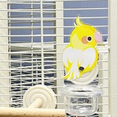 刺星球可爱玄凤挂碗牡丹鹦鹉向日葵镜子玩具用品