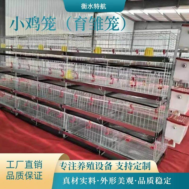 四层立式小鸡笼育雏鸡笼畜牧农用养鸡设备加粗加密层叠式小鸡笼,畜牧/养殖物资,畜牧/养殖器械,淘宝优惠券,粉丝福利购,淘宝优惠卷