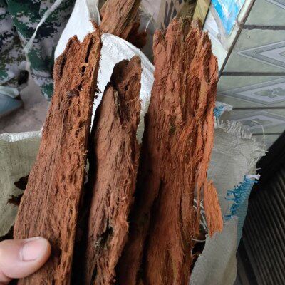 胡蜂筑巢材料红桉树皮一斤