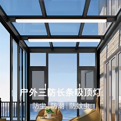 阳光房专用吸顶灯户外阳台过道灯防雨走廊顶灯长条露台屋檐阳光棚