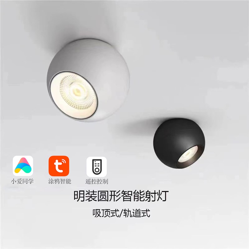明装圆形射灯可调角度客厅吸顶家用照明筒灯过道灯智能调光轨道灯