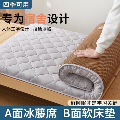 A类床垫水洗棉软垫学生宿舍专用冬夏两用冰丝藤席凉席榻榻米地垫