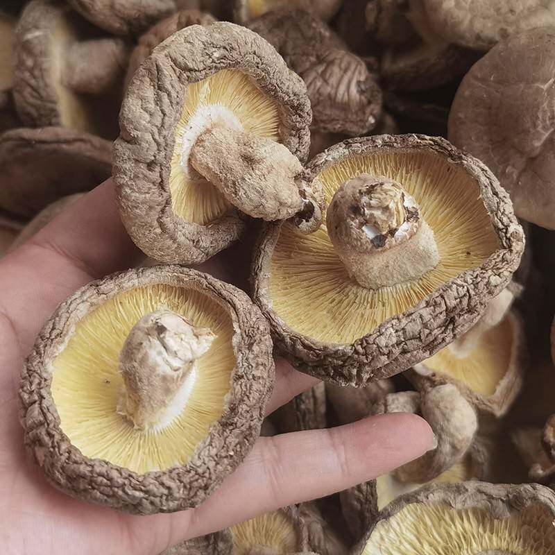 庆菇庆元香菇干货250g头茬厚菇新货高山干香菇原木香茹食用菌蘑菇