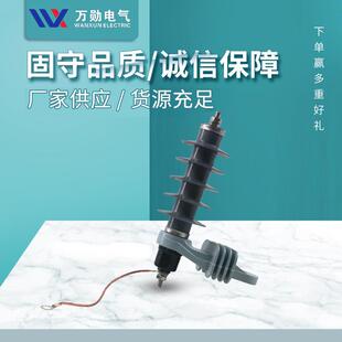 上海HY5WS-17/50TL 10KV高压避雷器氧化锌配电型脱离器安装板