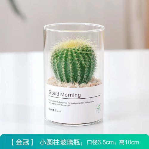 仙人球仙人掌多肉植物花卉室内好养绿植盆栽多肉花盆办公室好养